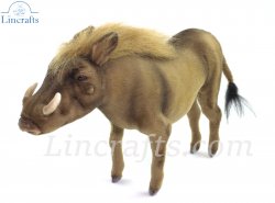 Soft Toy Warthog by Hansa (37cm) 8097