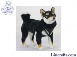 Soft Toy Black Shiba Dog Standing by Hansa (50cm.L) 7242