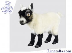 Soft Toy Cream & Black Goat Kid by Hansa (30cm) 7021