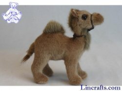 Soft Toy Camel by Hansa (18cm) 4536
