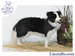 Soft Toy Dog, Border Collie by Hansa (84cm) 4563