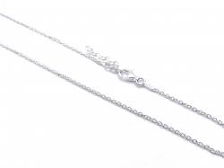 Silver CZ Capricorn Zodiac Pendant & Chain
