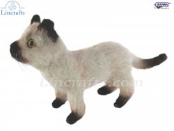 Soft Toy Cat, Siamese Kitten by Hansa (33cm) 7595