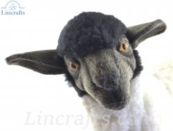 Soft Toy Black Faced Suffolk Sheep Standing by Hansa (33cm) 7822