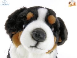 Soft Toy Bernese Mountain Dog by Faithful Friends (25cm)H FBM03