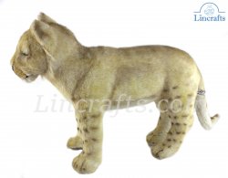 Soft Toy Lion Wildcat Cub Standing by Hansa (70cm) 7891