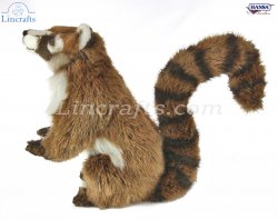 Soft Toy Coatimundi by Hansa (44cm) 8063