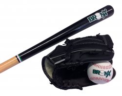 Bronx Wood bat, ball and glove set