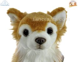 Soft Toy Chihuahua Dog by Faithful Friends (25cm)H FCH04
