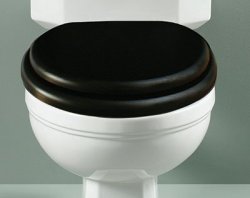 Silverdale Empire High Level WC Suite
