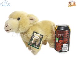 Plush Soft Toy Highland Calf, Isla, by Faithful Friends (17cm)H FHC25