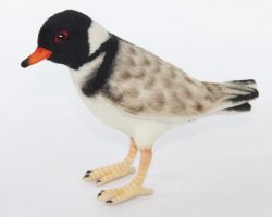 Soft Toy Bird, Hooded Plover by Hansa (20cm.L) 7888
