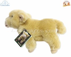 Plush Soft Toy Highland Calf, Isla, by Faithful Friends (17cm)H FHC25