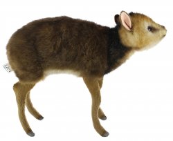 Soft Toy Muntjac Deer Baby by Hansa (28cm.L) 8024