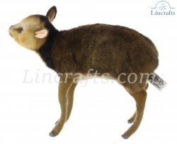 Soft Toy Muntjac Deer Baby by Hansa (28cm.L) 8024