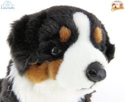 Soft Toy Bernese Mountain Dog by Faithful Friends (25cm)H FBM03