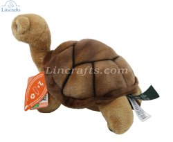 Soft Toy Tortoise by Living Nature (20cm) AN726