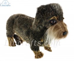 Soft Toy Dog, Wire Haired Dachshund by Hansa (34cm.L) 6325