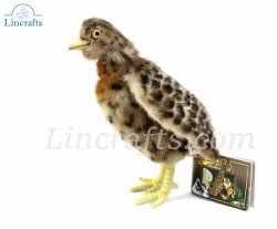 Soft Toy Bird, Plains-Wanderer (19cm.H) 7477