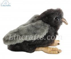 Soft Toy Bird, Pigeon Chick by Hansa (15cm) 7044