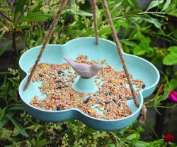 Bamboo Bird Bath & Feeder