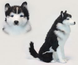 Soft Toy Husky Dog Sitting by Hansa (37 cm.H) 6638