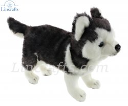 Soft Toy Dog, Husky Pup by Hansa (20cm.H) 6970