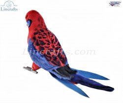 Soft Toy Bird, Crimson Rosella by Hansa (30cm) 8222