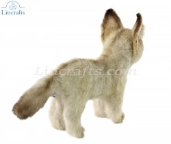 Soft Toy Bat Eared Fox Cub by Hansa (23cm.L) 8119