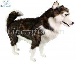 Soft Toy Brown & White Husky Dog by Hansa (94cm) 5048