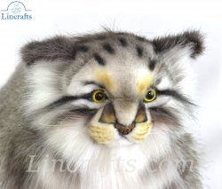 Soft Toy Pallas Cat Standing by Hansa (30cm) 7077