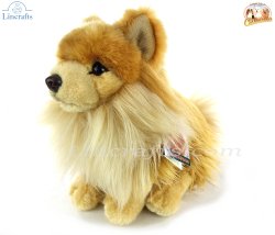 Soft Toy Pomeranian Puppy Dog by Faithful Friends (25cm)H FPOM03