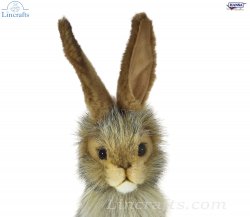 Soft Toy Jack Rabbit, Hare by Hansa (23cm) 3754