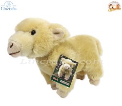 Plush Soft Toy Highland Calf, Isla, by Faithful Friends (17cm)H FHC25