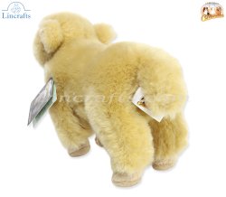 Plush Soft Toy Highland Calf, Isla, by Faithful Friends (17cm)H FHC25