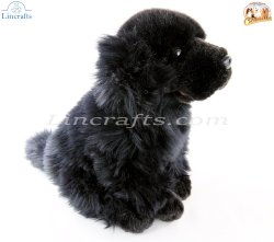 Soft Toy Newfoundland Puppy Dog by Faithful Friends (25cm)H FNE03