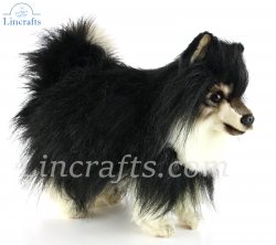 Soft Toy Black Pomeranian Dog by Hansa (36cm.L) 8043