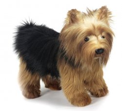 Soft Toy Dog, Yorkshire Terrier by Hansa (28cm) 5900
