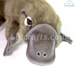 Soft Toy Platypus by Hansa (40cm) 7683