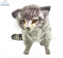 Scottish Wildcat by Hansa (41cm) 7629