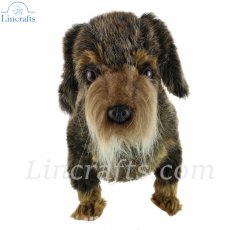 Soft Toy Dog, Wire Haired Dachshund by Hansa (34cm.L) 6325