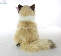 Soft Toy Ragdoll Cat by Living Nature (25cm)H AN567