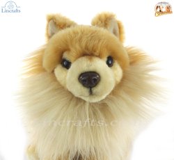 Soft Toy Pomeranian Puppy Dog by Faithful Friends (25cm)H FPOM03
