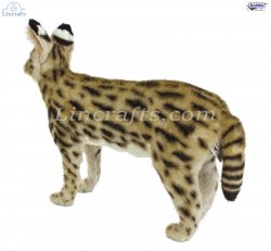 Soft Toy African Serval Cat Standing (48cm.L) 7372