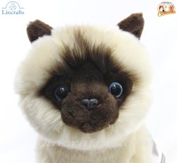 Soft Toy Plush Siamese Cat by Faithful Friends (25cm)H FSIA03