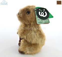 Soft Toy Capybara Pup by Living Nature (16cm) AN788
