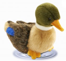 Soft Toy Bird, Baby Duckling by Hansa (19cm) 2053