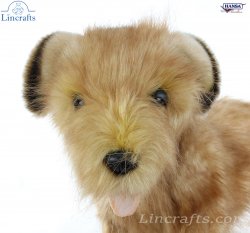 Soft Toy Norfolk Terrier Dog by Hansa (32cm) 4533