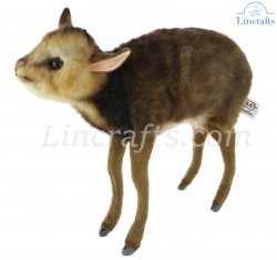 Soft Toy Muntjac Deer Baby by Hansa (28cm.L) 8024