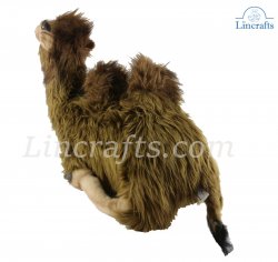 Soft Toy Camel by Hansa (55cm) 4655
